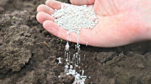 Эти удобрения обязательно сыпать осенью под все культуры! Лучшие осенние удобрения для плодородия.