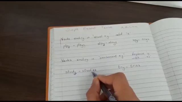 Present Simple Tense (part 3) - Verbs ending with y