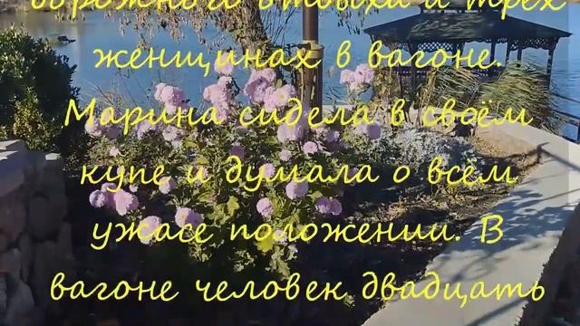 Проводница и ее пассажиры с которыми произошла нелепая поездка- истории из жизни смотреть онлайн