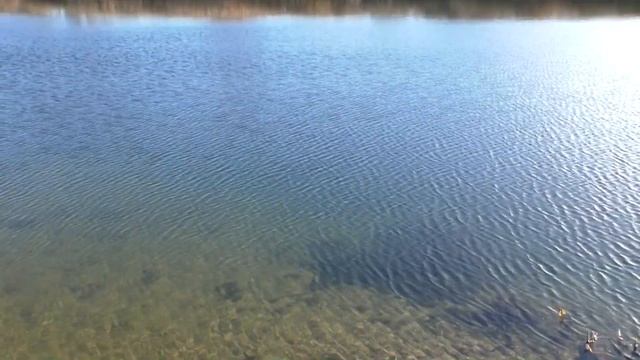 Копать в компании веселей. В гостях смотреть онлайн