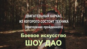 Двигательный каркас техники Шоу Дао