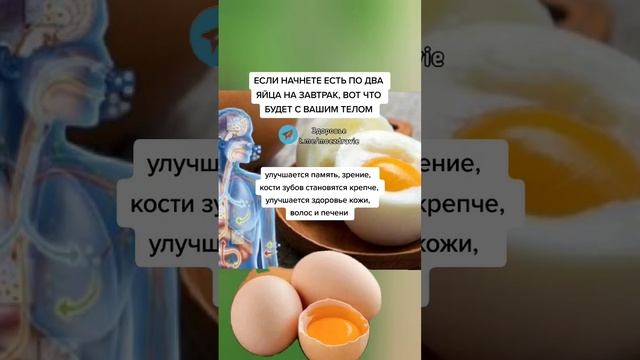 если начнёте есть по 2 яйца на завтрак, вот что будет с вашим телом #здоровье #полезныесоветы #зож