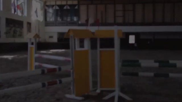 Спортивная школа олимпийского резерва по конному спорту. Краснодарский край I Спорт - норма жизни