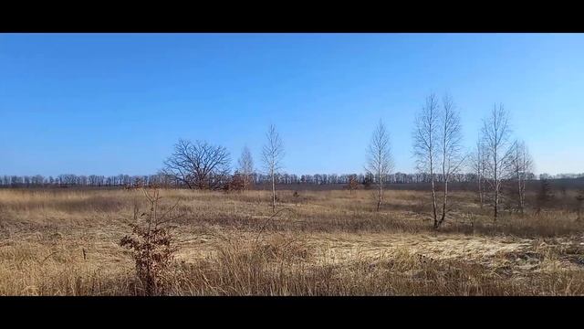 НАШЕЛ НОВОЕ МЕСТО ДЛЯ КОПА. УСИЛЕНИЕ ЛОПАТЫ FISKARS смотреть онлайн