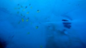 Ice Diving Baikal 2021 | Погружение под лёд Байкала