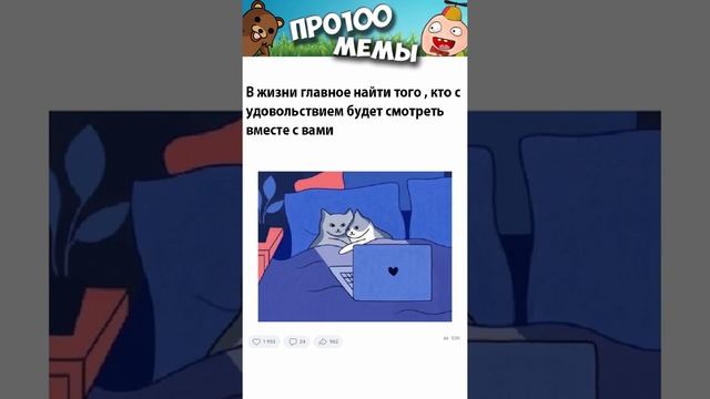 Мемы 2022 #мемы2022 #смешныекоты #мемы #приколы #юмор #мемыскотами #shorts #мемасы #мем #про100мемы