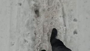 Кроссовки Reebok Floatride Energy 5 Adventure . ЧЕСТНЫЙ ОБЗОР И ЭКСТРИМАЛЬНЫЙ ТЕСТ.