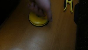 Держатель-присоска для стекол VOREL одинарная 40 кг (05300)
