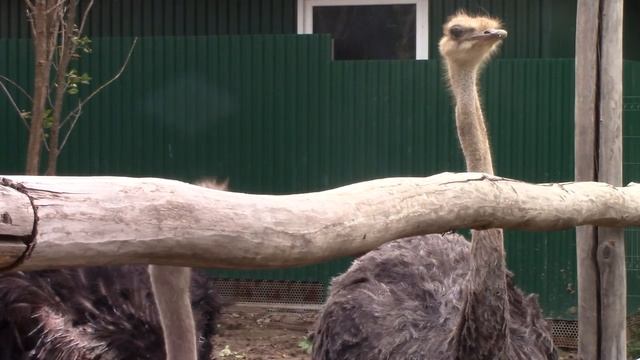 Отмечаем день дошкольного работника.mp4 смотреть онлайн