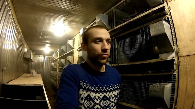 Кролики: Раменский комбикорм - выводы... смотреть онлайн