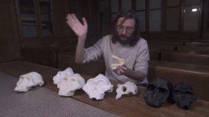 Антропология: Парантропы. Массивные австралопитеки. Станислав Дробышевский