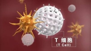 Иммунотерапия рака дендритными клетками, Dendritic cells therapy