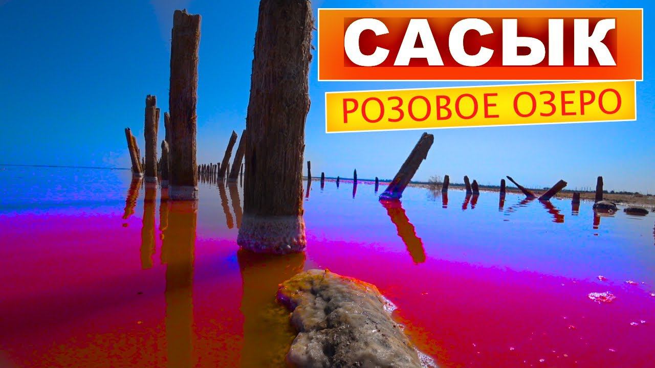 Розовое озеро в Крыму. Сасык - Сиваш. Красивейшие места Крыма