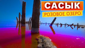 Розовое озеро в Крыму. Сасык - Сиваш. Красивейшие места Крыма