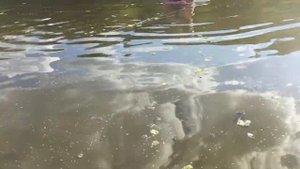 Старобельск.Река Айдар