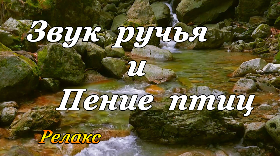 Шумят ручьи песня. Звук ручья. Журчание ручья и пение птиц. Релакс пение птиц. Природа пение птиц вода ручей.