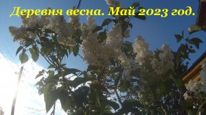 ДЕРЕВНЯ. Весна. Май 2023 год. ДОМ И ЖИЗНЬ В ДЕРЕВНЕ