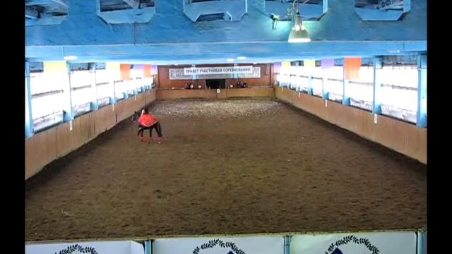 Кюр.КСК "Тулпар"."Королевский бал".avi смотреть онлайн