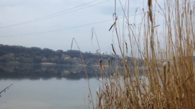 Можно ли плавать в нерест на моторке.MOV смотреть онлайн