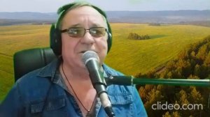 Белый лебедь на пруду