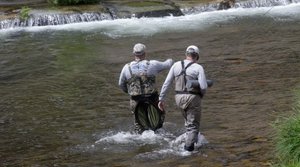 Сложная схема: змея украла улов рыбаков в Ленинградской области