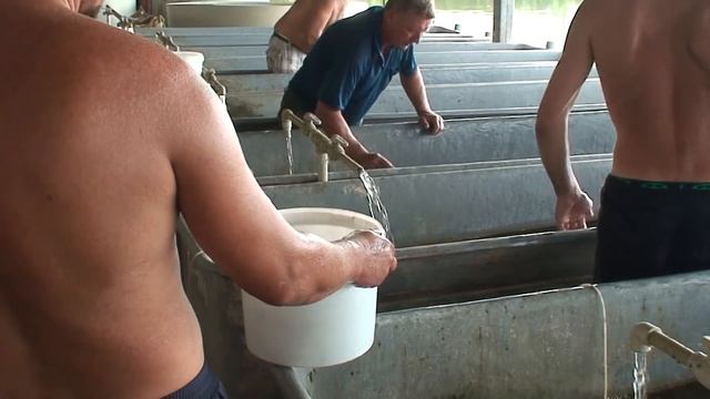 Бердянский осетровый завод ООО «Бриг» ЛТД (выпуск осетра)