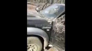 Медведь разодрал машину пока охотники бродили по лесу