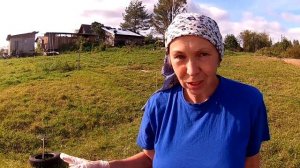 Шерсть - моем, перебираем, чешем ручными ческами.