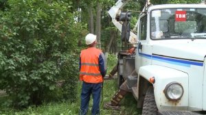 Зачем пилят деревья в т.у. Бужаровское