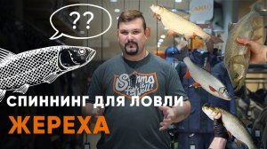 Каким спиннингом ловить жереха?