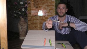 Топ 5 лучших бюджетных воблеров на щуку. Лучшие бюджетные воблеры! Часть 1.