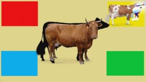 Угадай животное!!! Детская викторина!!!