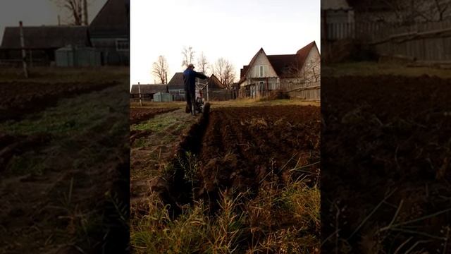 Вспашка плугом.Мотоблок ЗиД "Фаворит",двс BRIGGS & STRATTON 6,5 л,с. смотреть онлайн