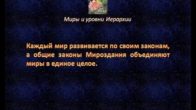 Книга "Лепестки лотоса". Миры и уровни Иерархии смотреть онлайн