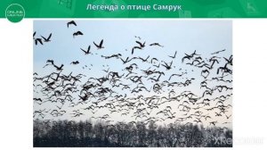 Легенда о птице Самрук