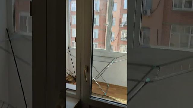 сдам квартиру в центре города.напротив Джумма мечети смотреть онлайн