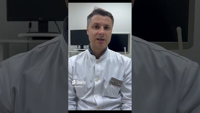 Что любит трихомонада