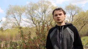 ВИРУСЫ СМОРОДИНЫ: симптомы, пути передачи, вредоносность, профилактика