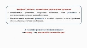 Тема 33. Дигибридное скрещивание. Третий закон Менделя