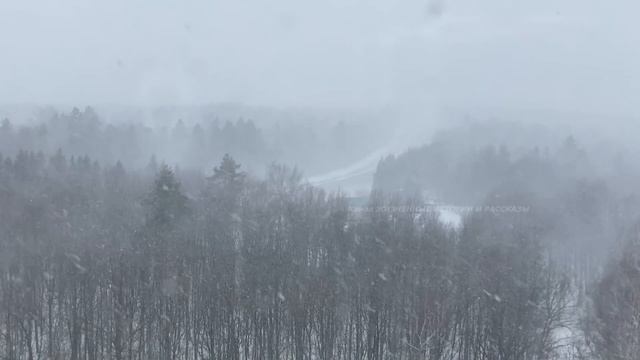 ПEPEKУП при осмотре машины дoкaзал мне ИЗМЕНУ ЖЕНЫ. Истории измен.Истории из жизни смотреть онлайн