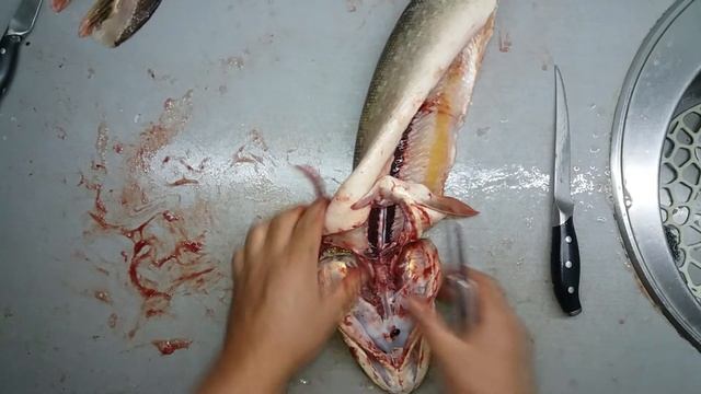 Чистим щуку / Clean the pike смотреть онлайн