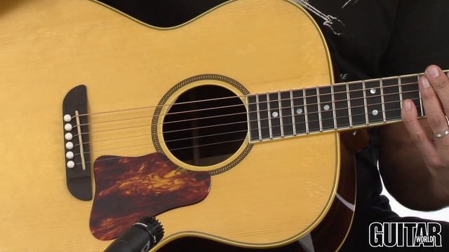 Washburn Warren Haynes Signature WSD5240 Solo Deluxe Guitar смотреть онлайн