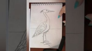 Рисуем цаплю простым карандашом
