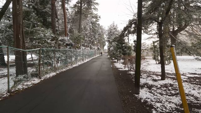 4K・ Снег. Снег? Снег! Абико, Тиба - часть 1 смотреть онлайн