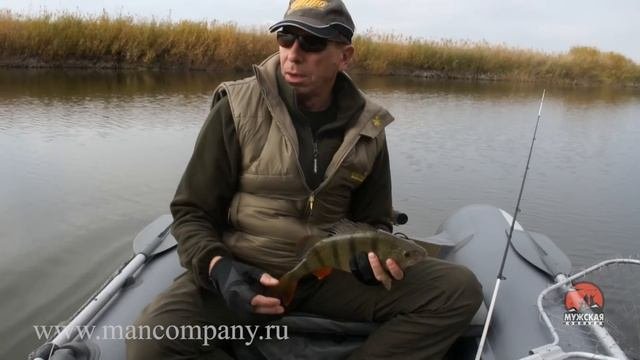 Ловля огромного окуня