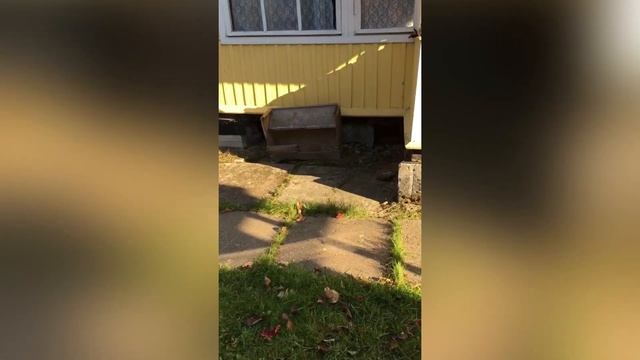 Переделка дачи, обустройство дома и участка