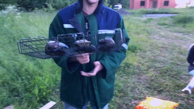 Бабагануш С Баклажанами И Тахини + Латкес | Вкуснейший Рецепт смотреть онлайн