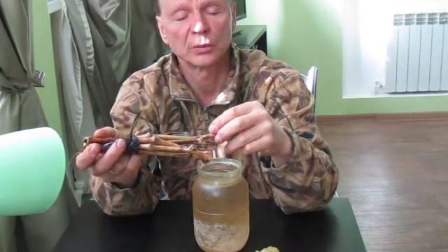 Обработка черенков винограда. смотреть онлайн