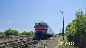 Поезда на ст.Василевичи 16-18.06.2023 (БЖД)