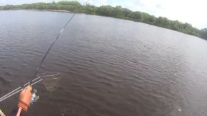 Ловля рыбы на пикер - нереальная рыбалка